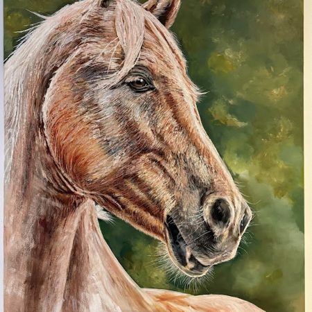 Scarlet The Stallion