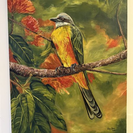 Tropical Minivet Bird